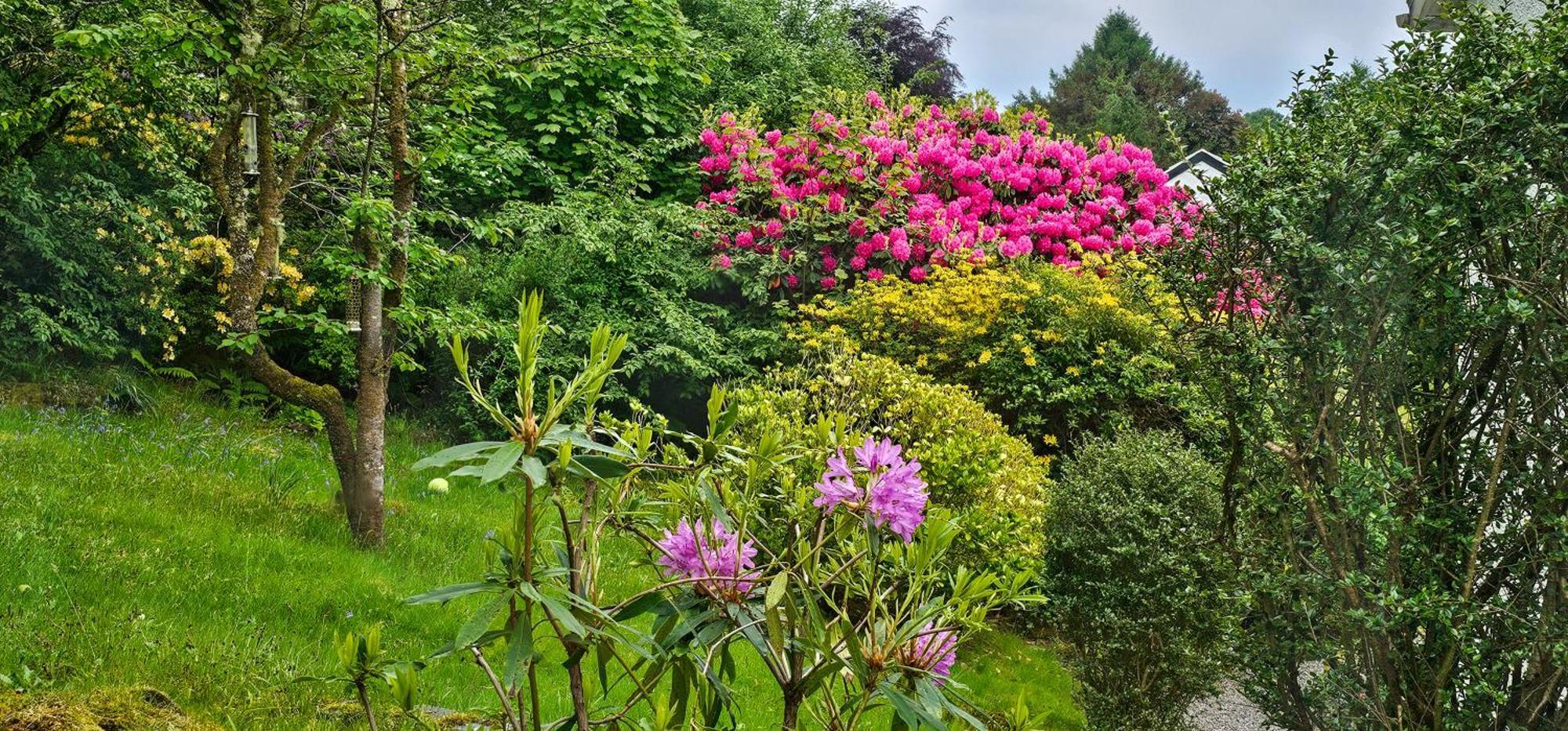 Ards House Bed & Breakfast Oban Eksteriør bilde